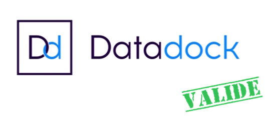 DataDock logo validé